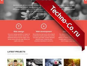 1390624724_1389021429_wordpress-theme-07-5055937